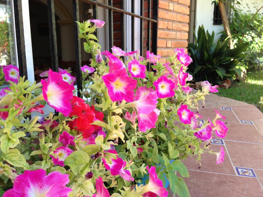 Hotel Carmen Teresa Torremolinos Dış mekan fotoğraf